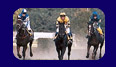 Velka pardubicka Steeplechase