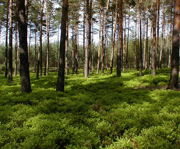 Family Holidays � Toulovec Stables